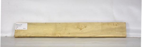 HOLLY1137_1