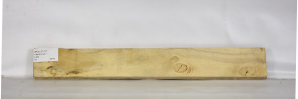 HOLLY1137_2