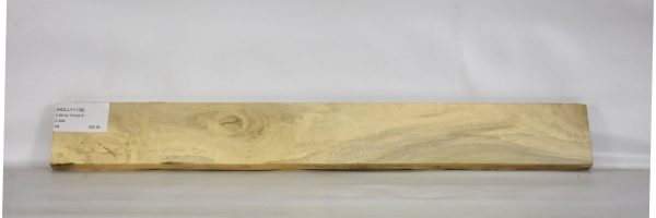 HOLLY1138_2