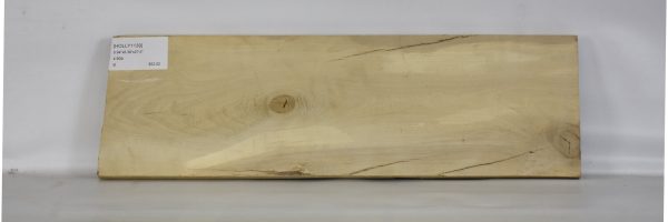 HOLLY1139_2