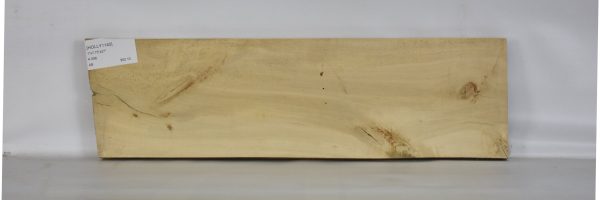HOLLY1140_2