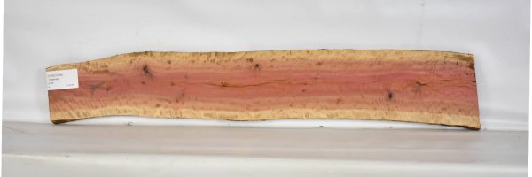 IVRED1066_2