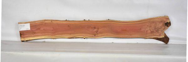 IVRED1068_1