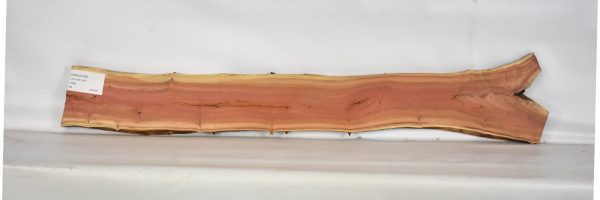 IVRED1068_2