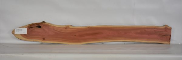 IVRED1074_1
