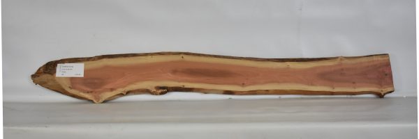 IVRED1074_2
