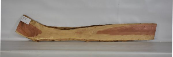 IVRED1076_1