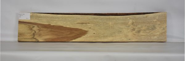 KIAAT1154_1