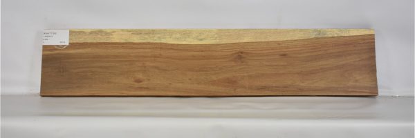 KIAAT1155_1