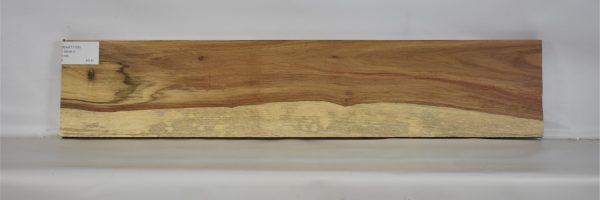 KIAAT1155_2