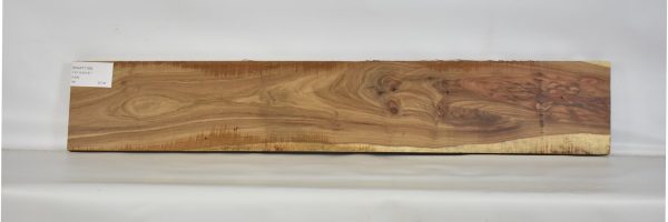 KIAAT1158_2