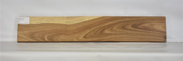 KIAAT1159_1