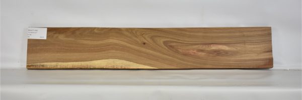 KIAAT1159_2