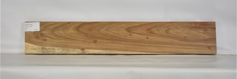 KIAAT1160_1