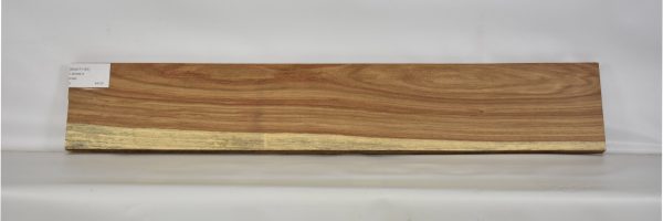 KIAAT1161_1
