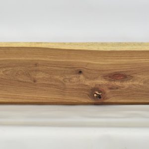 KIAAT1162_1