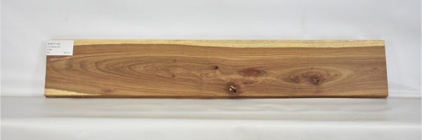 KIAAT1162_1