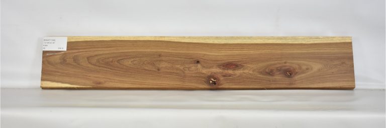 KIAAT1162_1