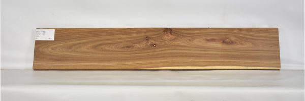 KIAAT1162_2