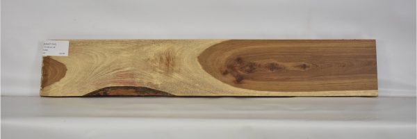 KIAAT1163_1