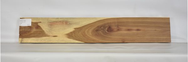 KIAAT1163_2