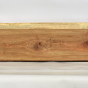 KIAAT1166_1