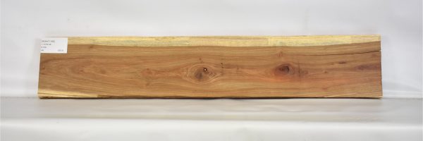 KIAAT1166_1