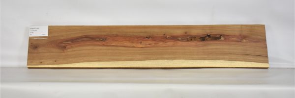 KIAAT1166_2