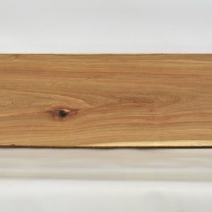 KIAAT1167_1