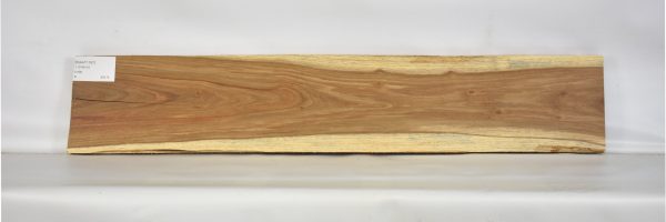 KIAAT1167_2