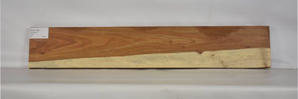 KIAAT1168_1