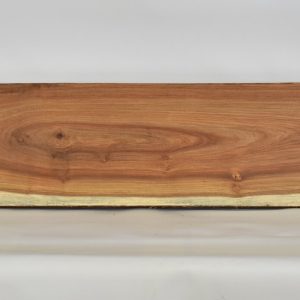 KIAAT1169_1