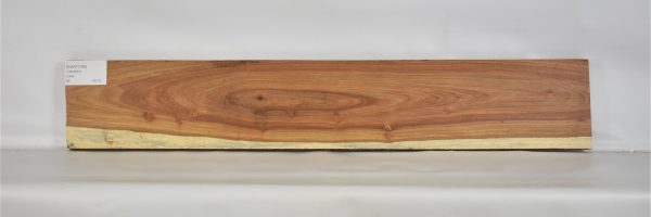 KIAAT1169_1