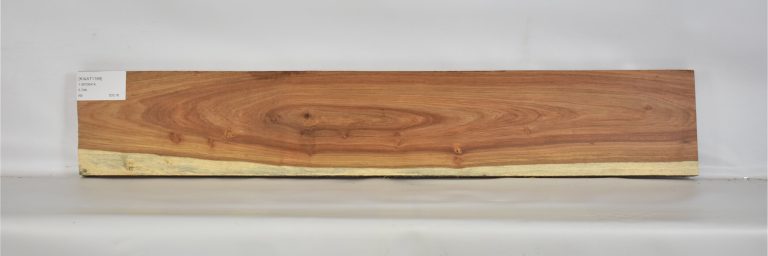 KIAAT1169_1