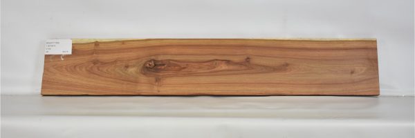 KIAAT1169_2