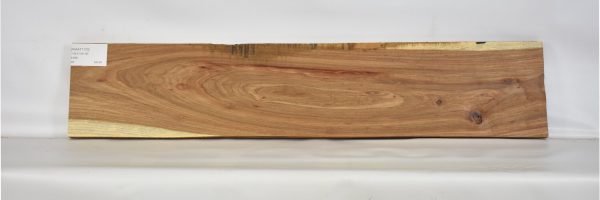 KIAAT1170_2