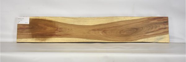 KIAAT1172_1