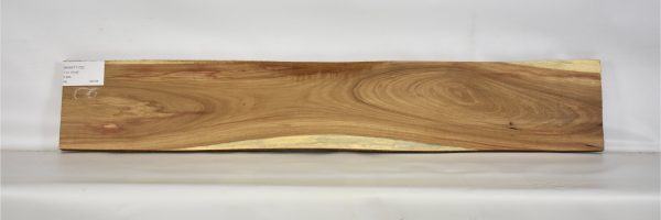 KIAAT1172_2