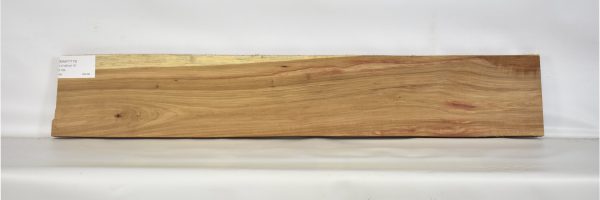 KIAAT1173_2