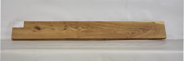 KIAAT1174_2