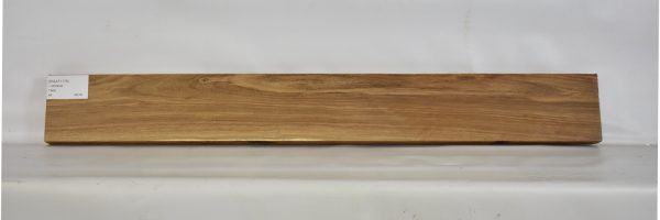 KIAAT1176_2