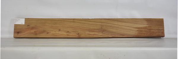 KIAAT1180_2