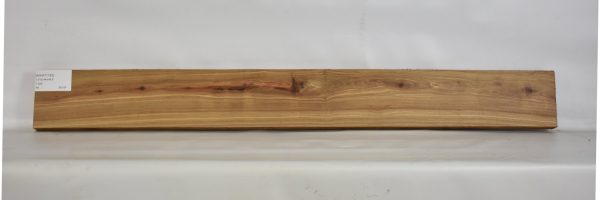 KIAAT1183_1
