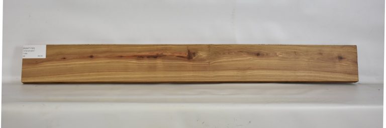 KIAAT1183_1