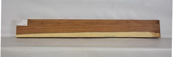 KIAAT1186_2