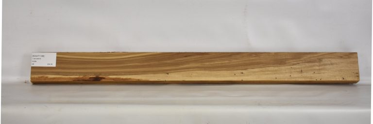 KIAAT1188_1