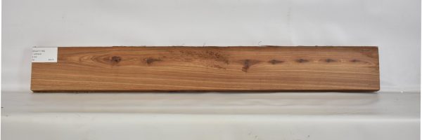 KIAAT1189_1