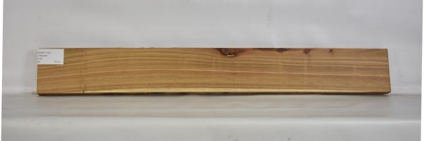 KIAAT1191_2