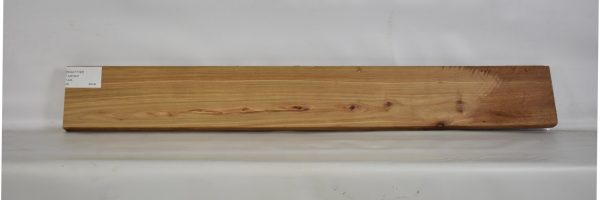 KIAAT1193_1