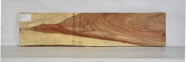 KIAAT1200_1
